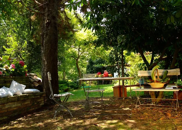 Il Papavero Relais Frühstückspension Senigallia