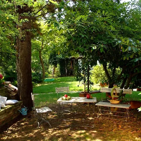 Il Papavero Relais לינה וארוחת בוקר סניגליה