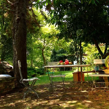 Il Papavero Relais Alojamento de Acomodação e Pequeno-almoço Senigália