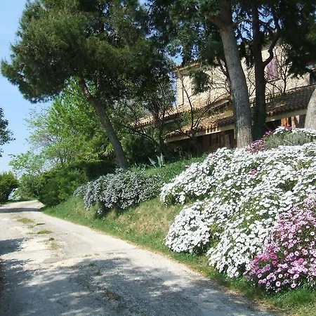 Il Papavero Relais סניגליה