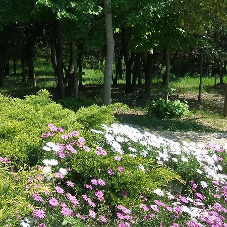 Alojamento de Acomodação e Pequeno-almoço Il Papavero Relais Senigália